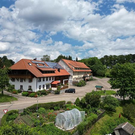 Апартаменти Haus Schlageter Dachsberg im Schwarzwald Екстер'єр фото