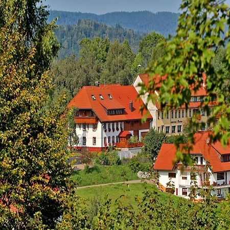 Апартаменти Haus Schlageter Dachsberg im Schwarzwald Екстер'єр фото