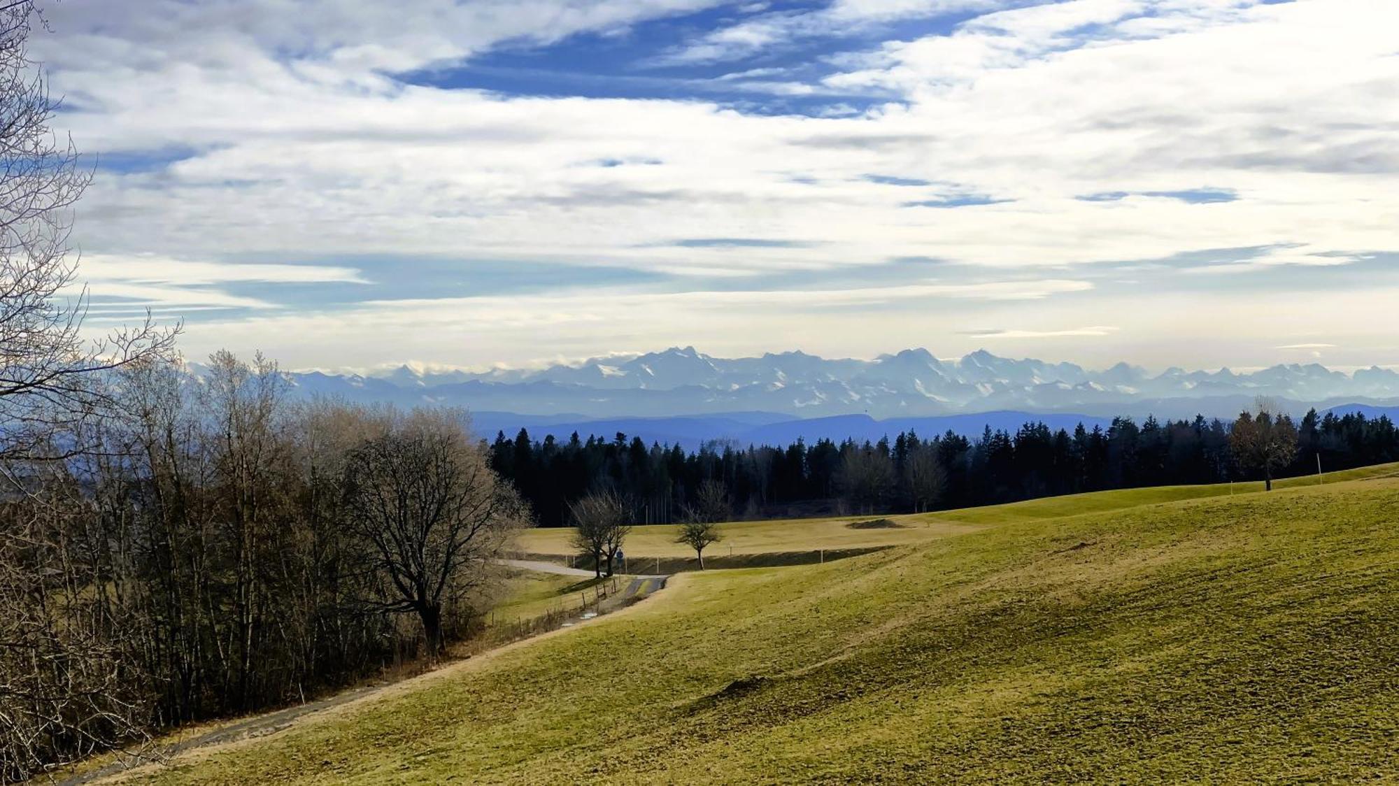 Апартаменти Haus Schlageter Dachsberg im Schwarzwald Екстер'єр фото