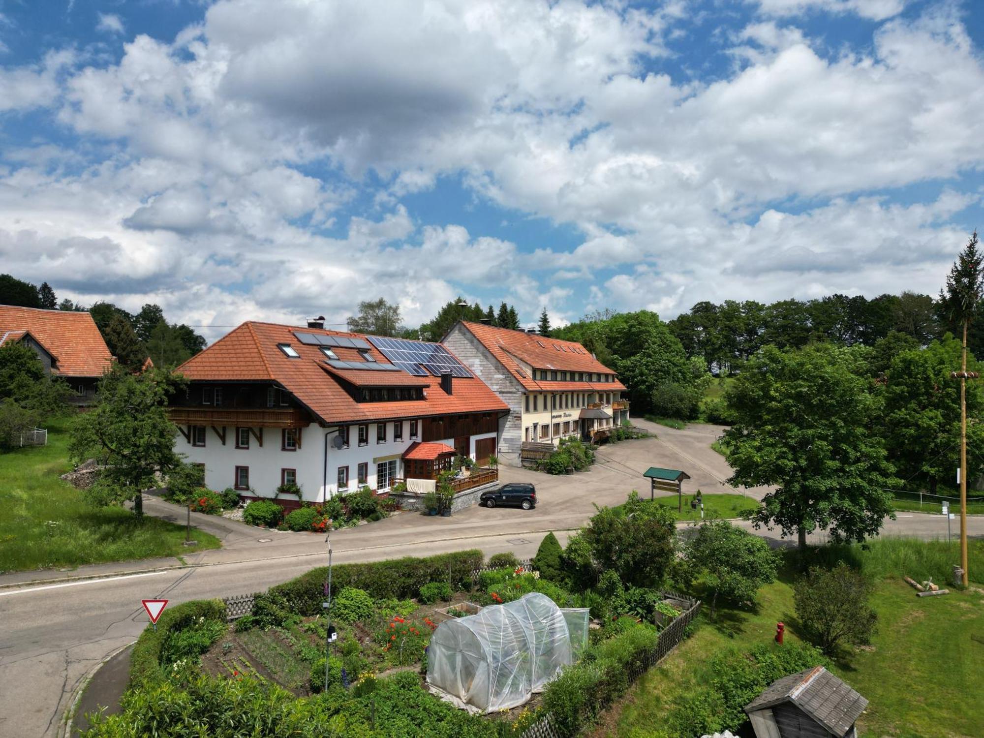 Апартаменти Haus Schlageter Dachsberg im Schwarzwald Екстер'єр фото